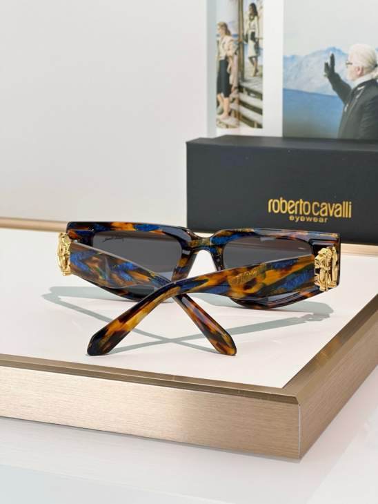Picture of Roberto Cavalli Sunglasses _SKUfw69699336fw